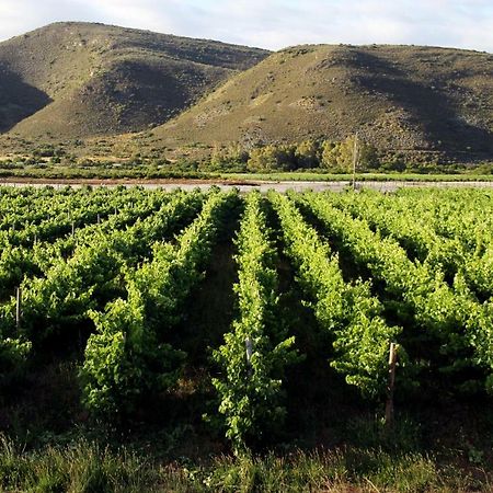 Appartamento Tanagra Wine&Guestfarm McGregor Esterno foto