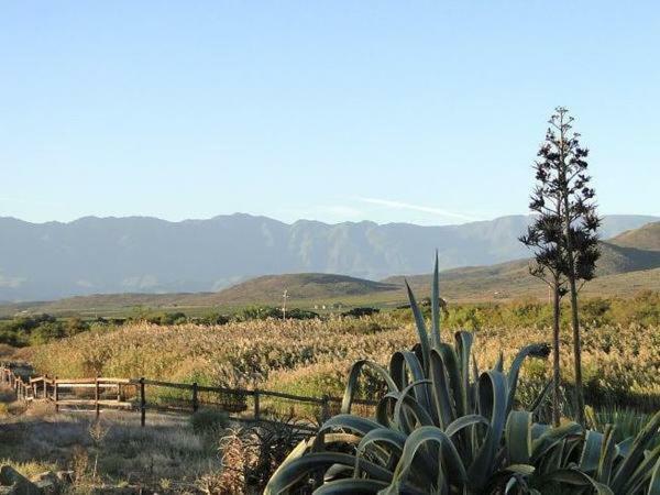 Appartamento Tanagra Wine&Guestfarm McGregor Esterno foto