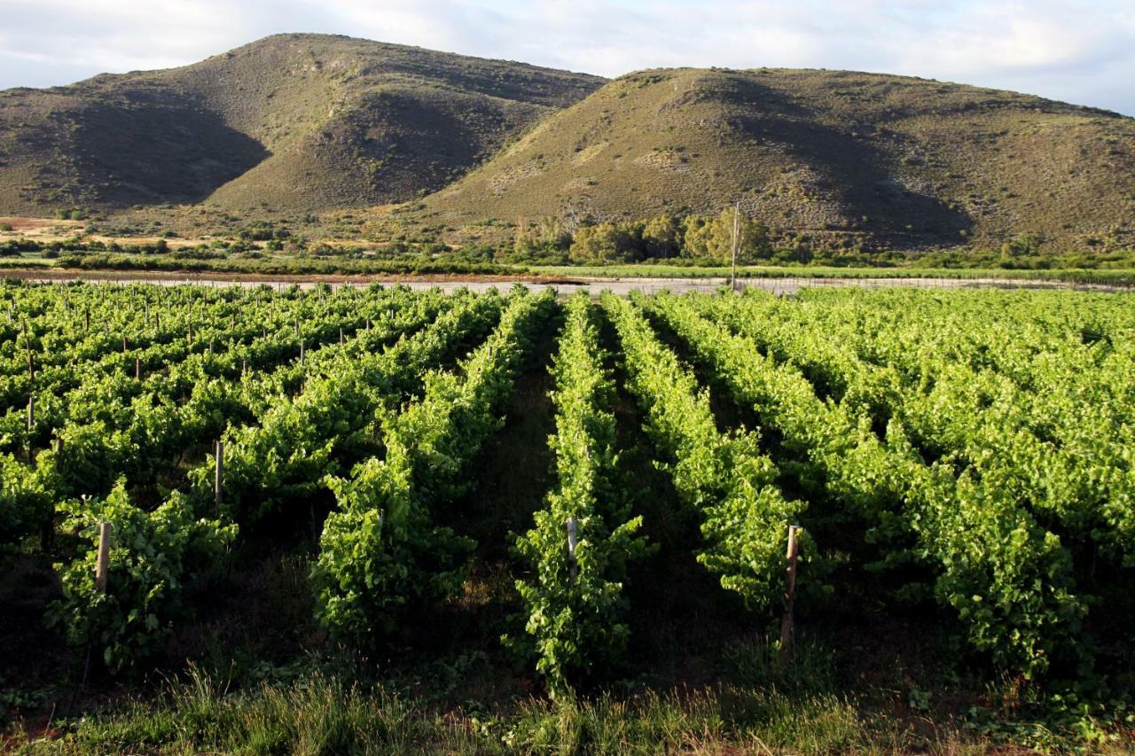 Appartamento Tanagra Wine&Guestfarm McGregor Esterno foto
